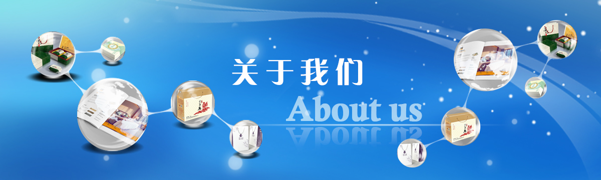 關于善進 - 樹立品牌形象，規范行業標準，引領行業發展 - 武漢善進科技有限公司